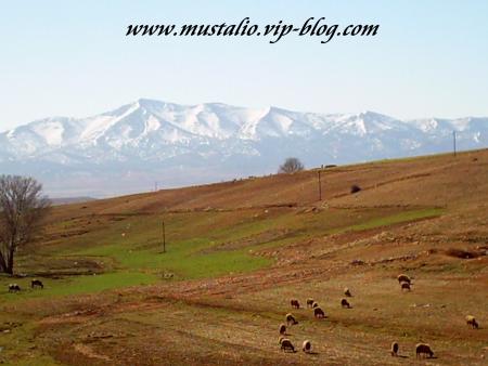 Ma tour de rève ( between midalt & khnifraa)